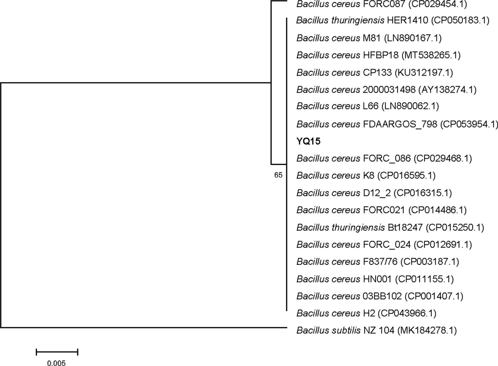 Fig. 2