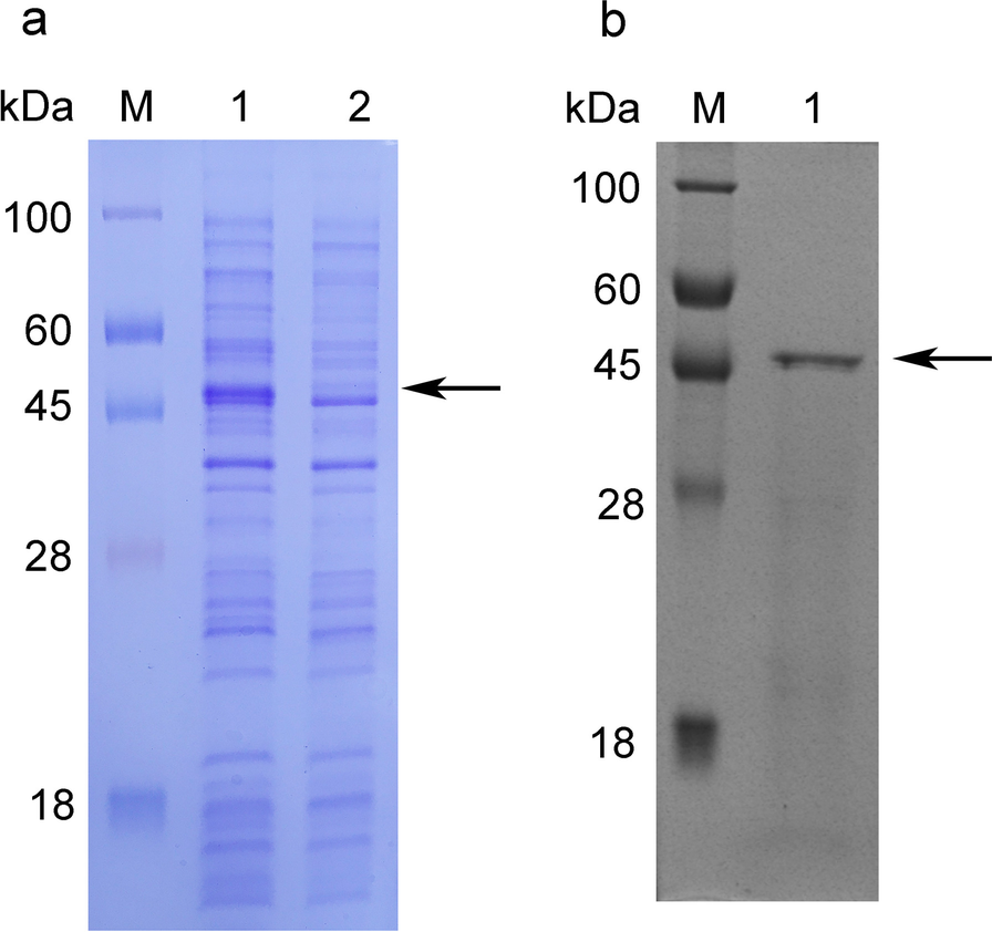 Fig. 5