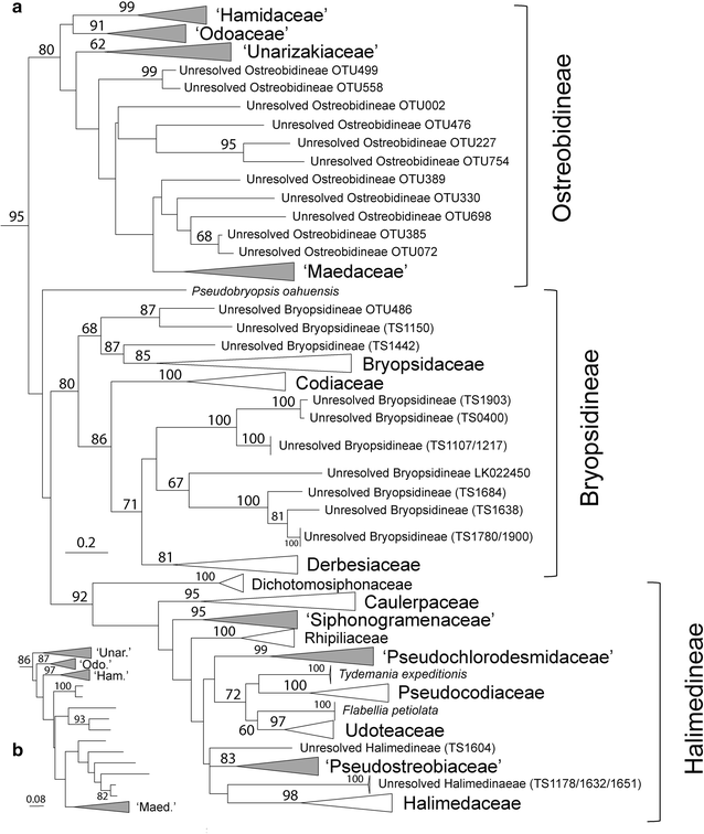 Fig. 8