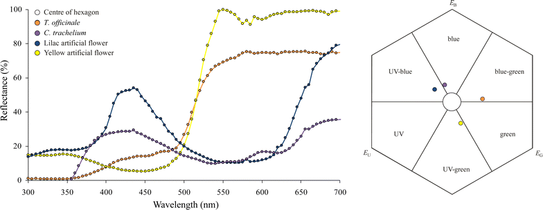 Fig. 6