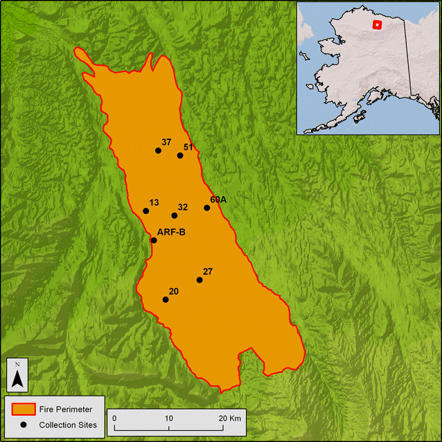 Fig. 1