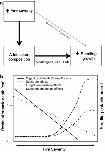 Fig. 5