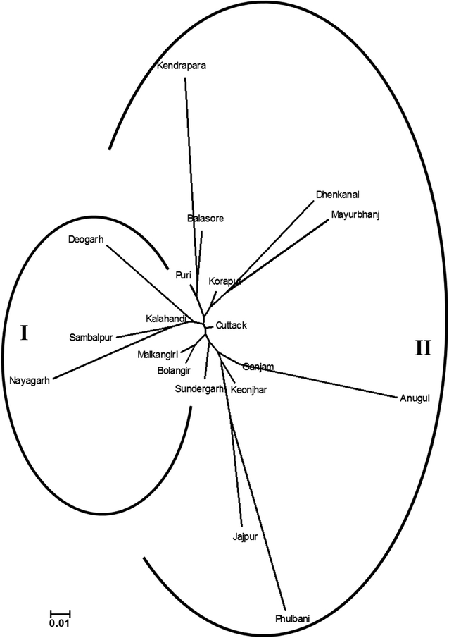 Fig. 5