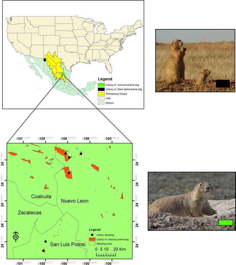 Fig. 2