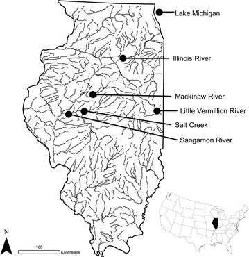 Fig. 1