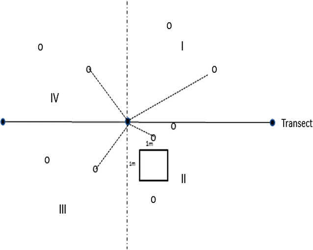 Fig. 2