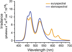 Fig. 1