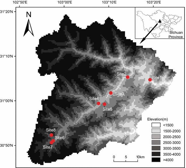 Fig. 1