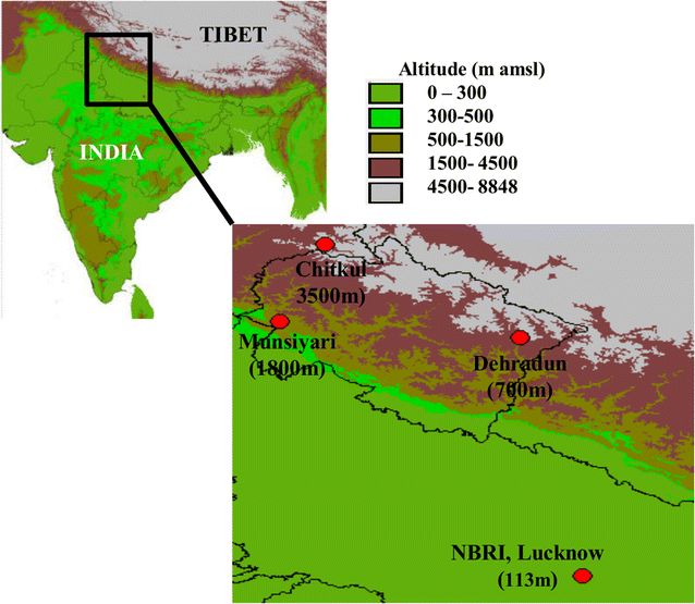 Fig. 6