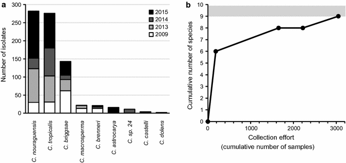 Fig. 2