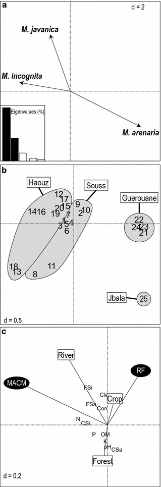 Fig. 5