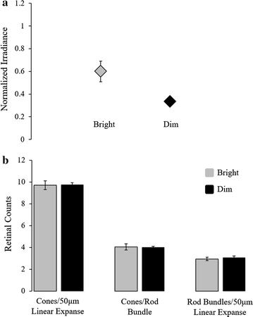 Fig. 4