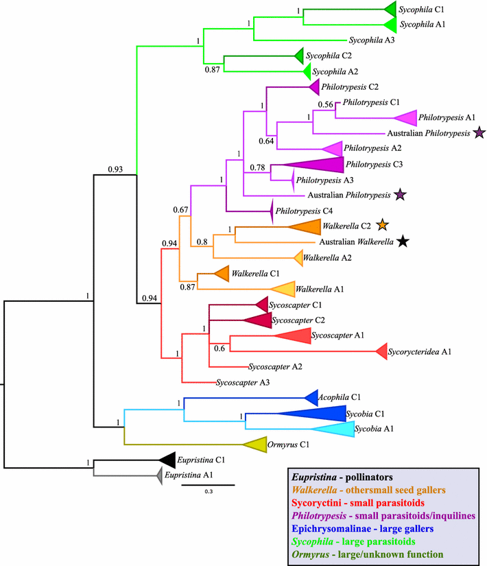 Fig. 2