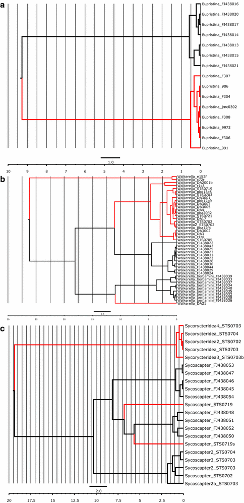 Fig. 4