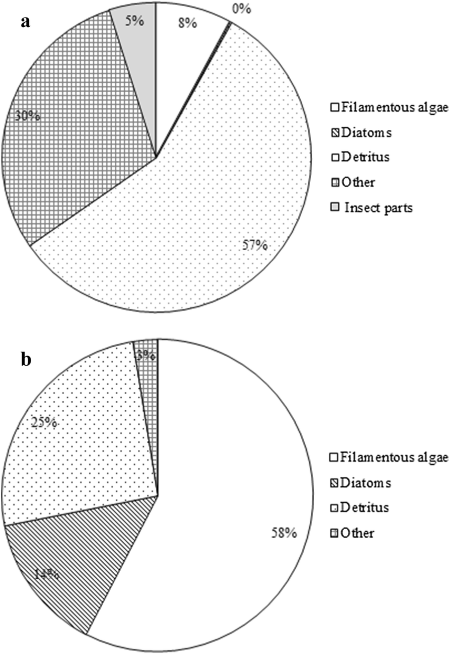 Fig. 5