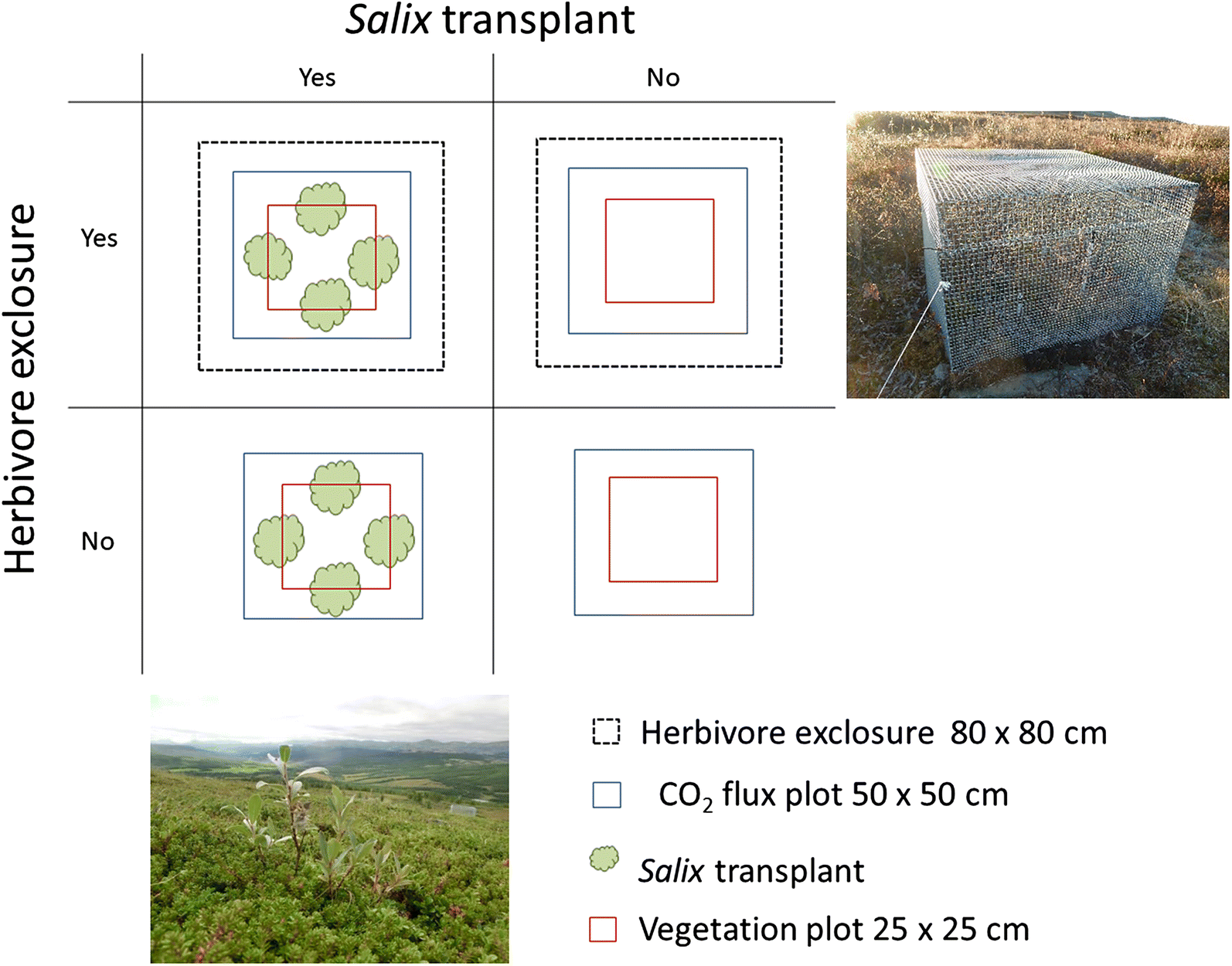 Fig. 1