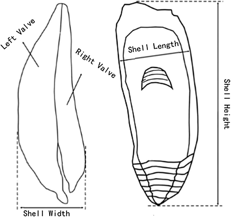 Fig. 2