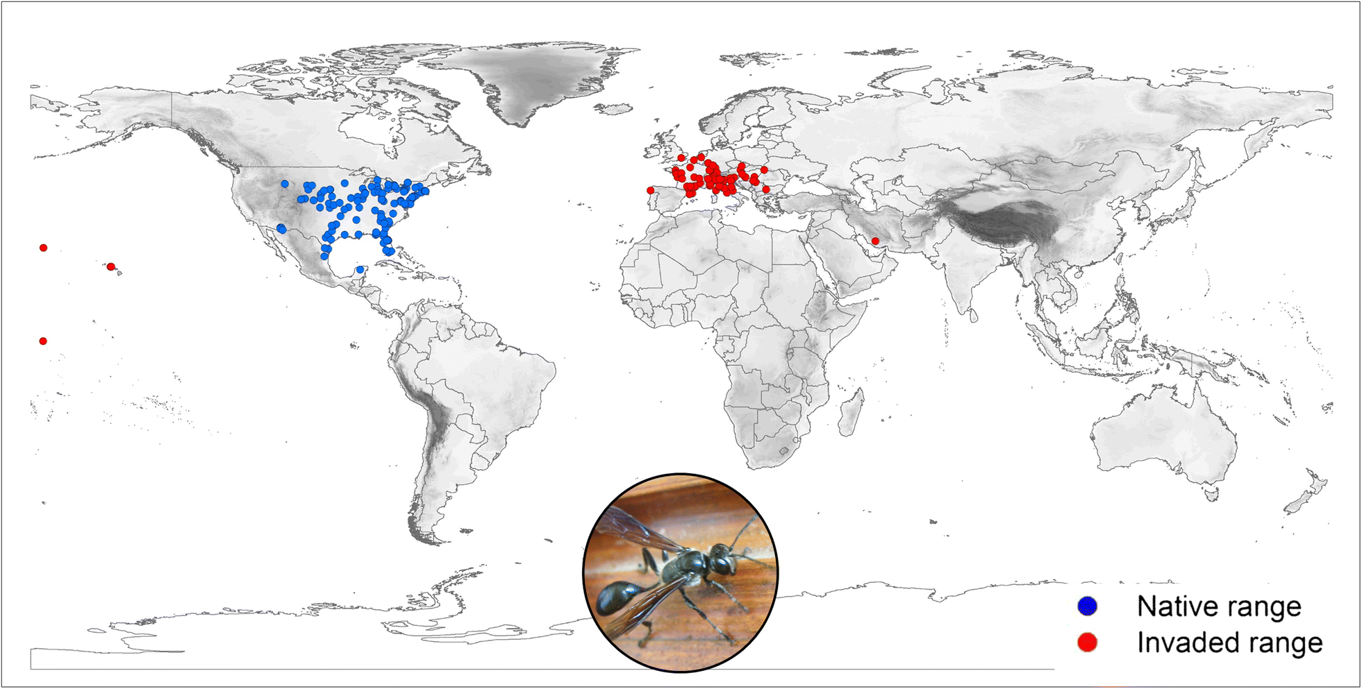 Fig. 1