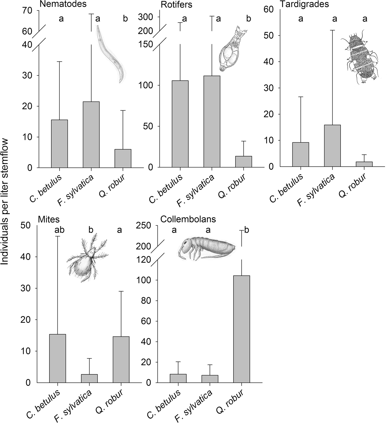 Fig. 2