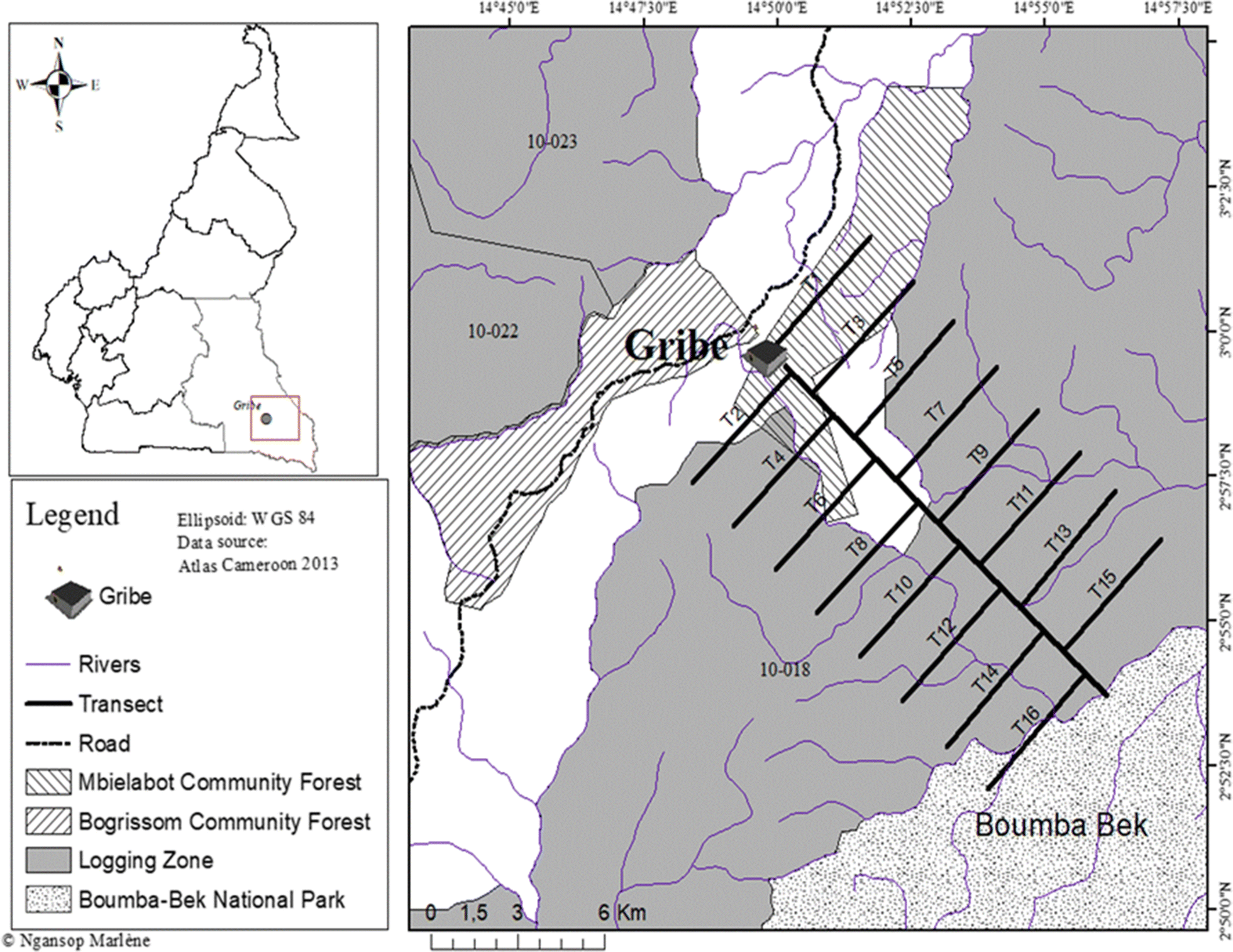 Fig. 2