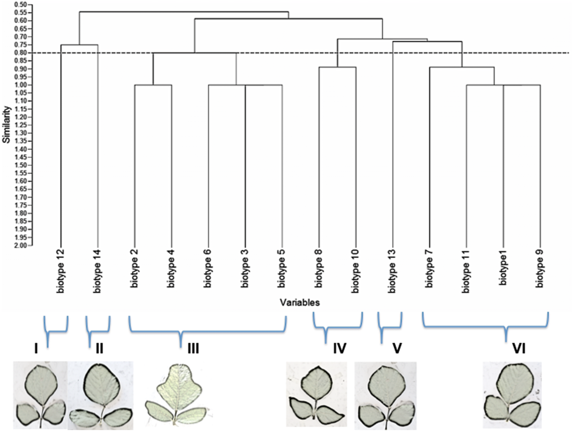 Fig. 3