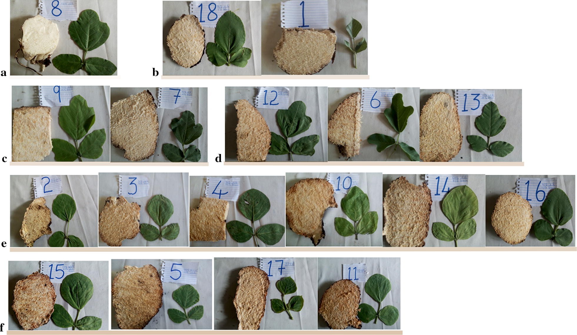 Fig. 4