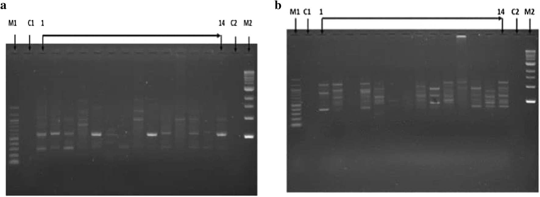 Fig. 5