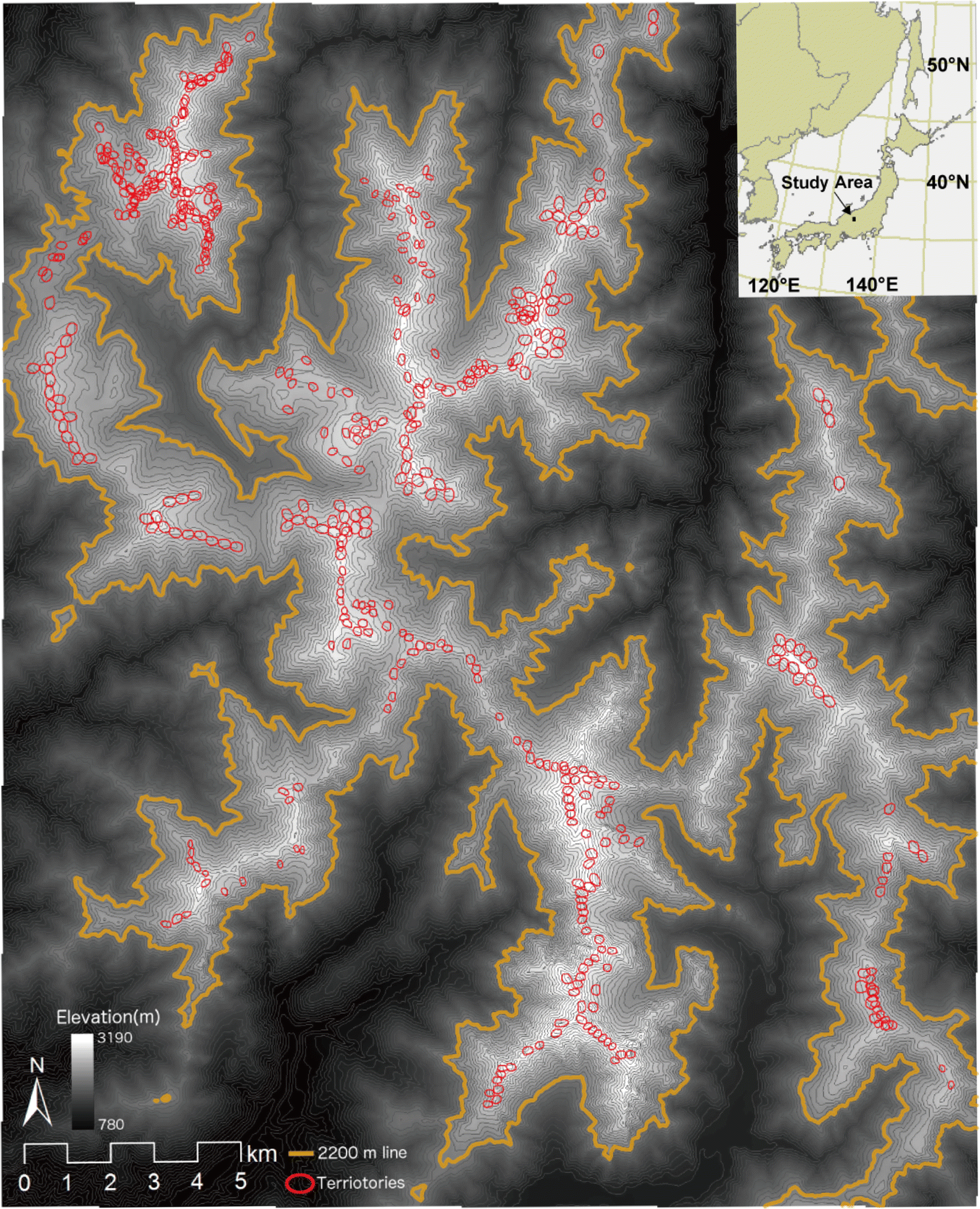 Fig. 1