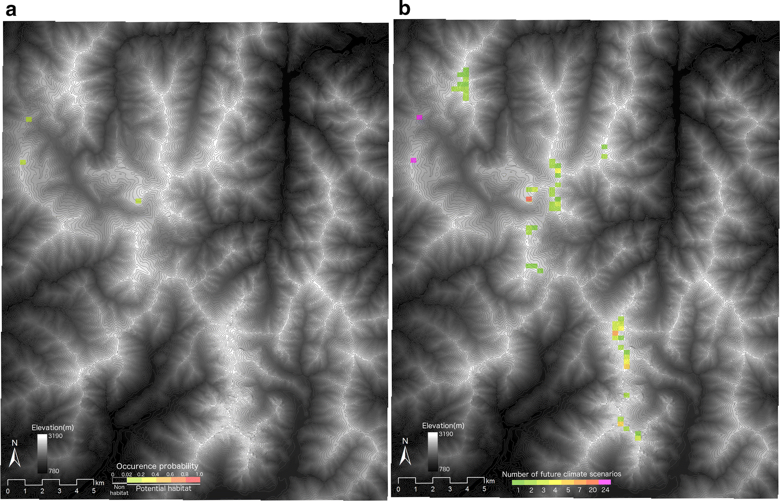 Fig. 6