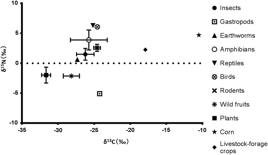 Fig. 6