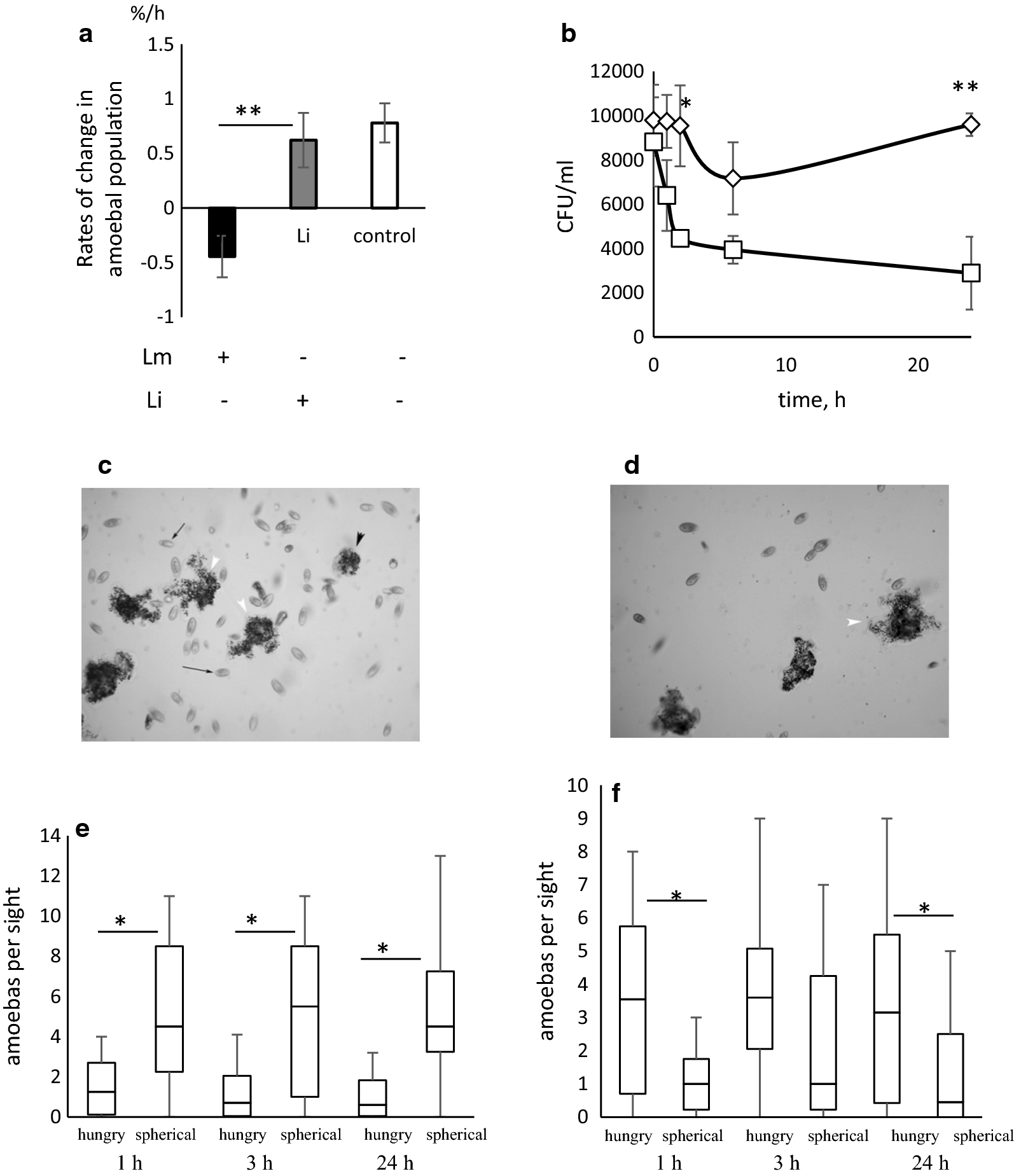 Fig. 3