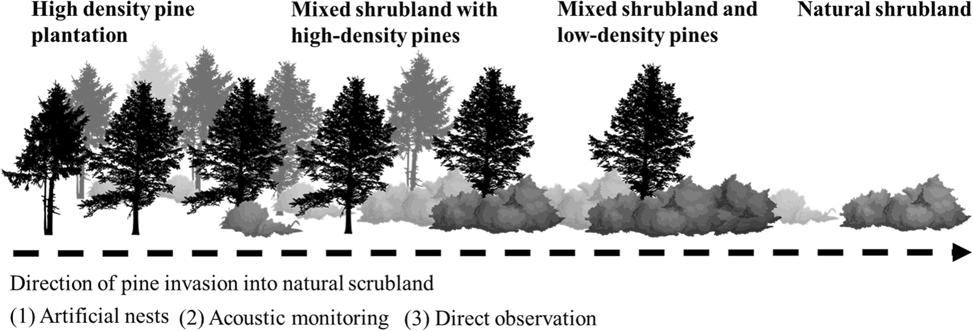 Fig. 7