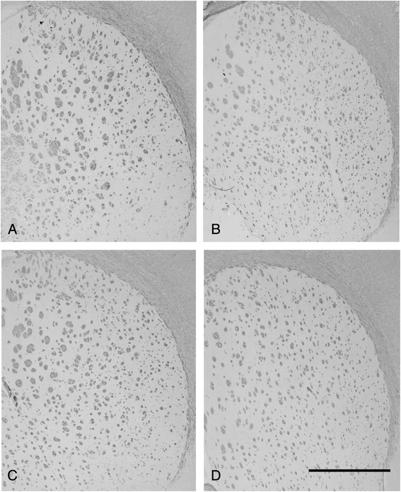 Fig. 9