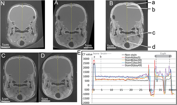 Fig. 4