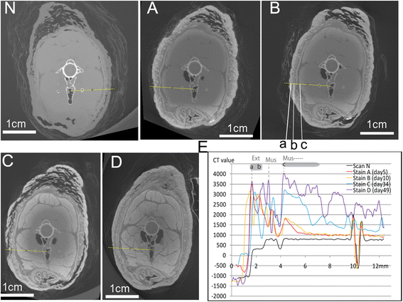 Fig. 5