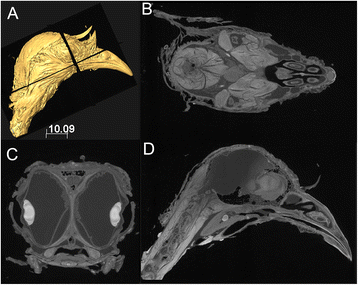 Fig. 9