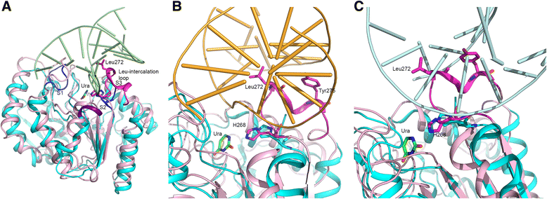 Fig. 8