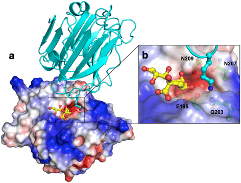 Fig. 6