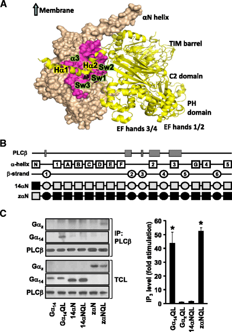 Fig. 5