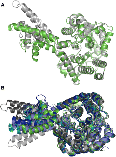 Fig. 7