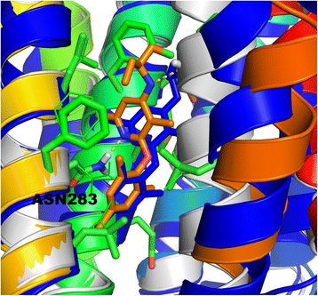 Fig. 8