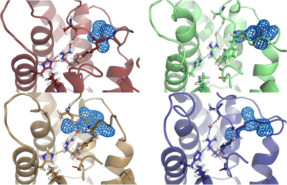 Fig. 10