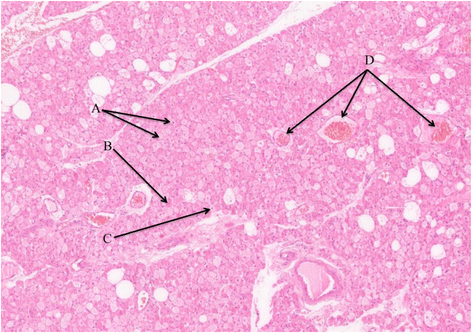 Fig. 2