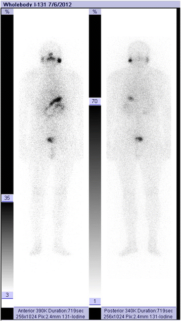 Fig. 8