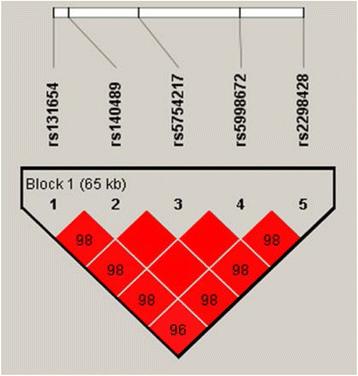 Fig. 1