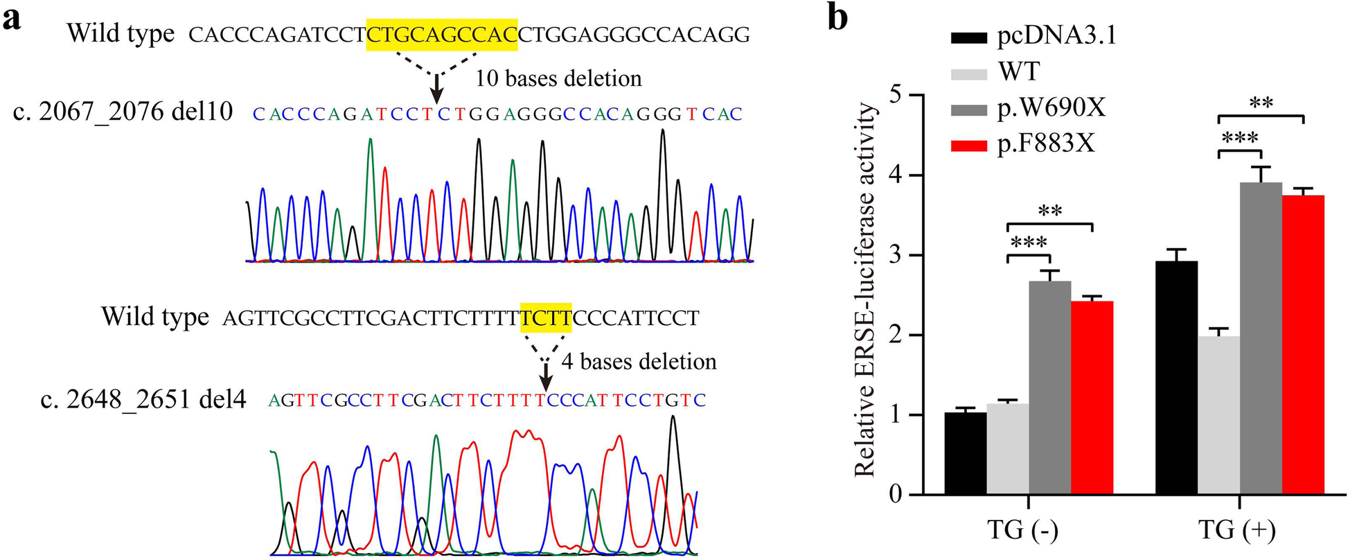 Fig. 3