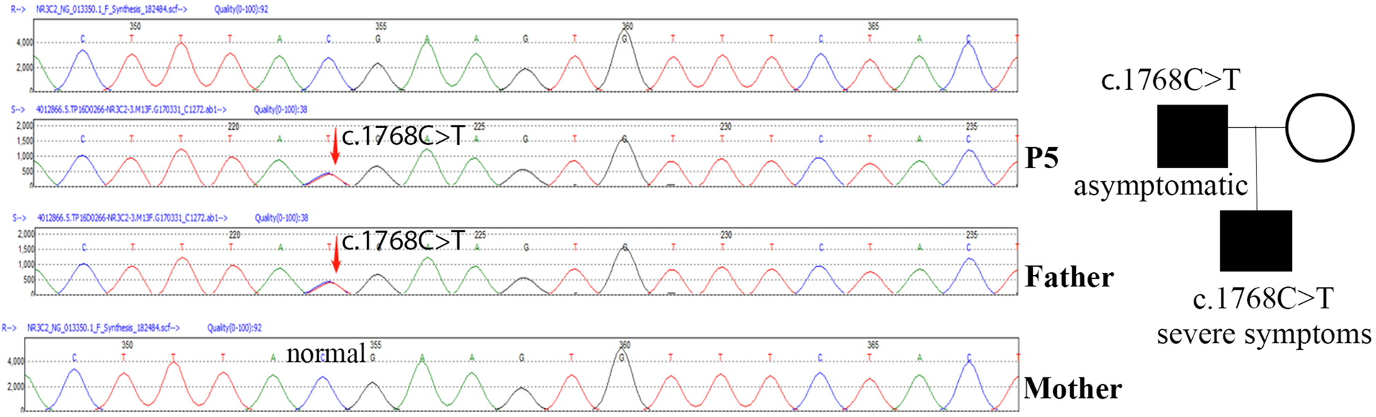 Fig. 2