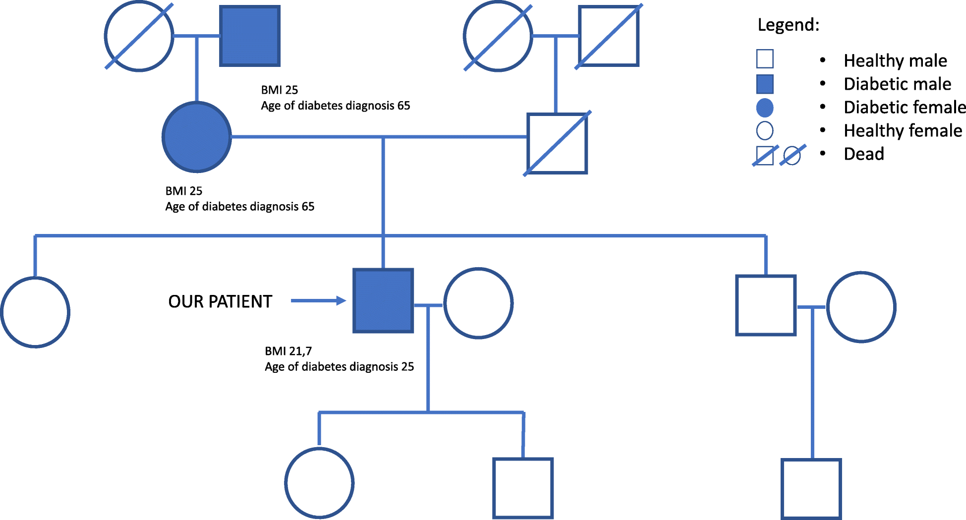 Fig. 1