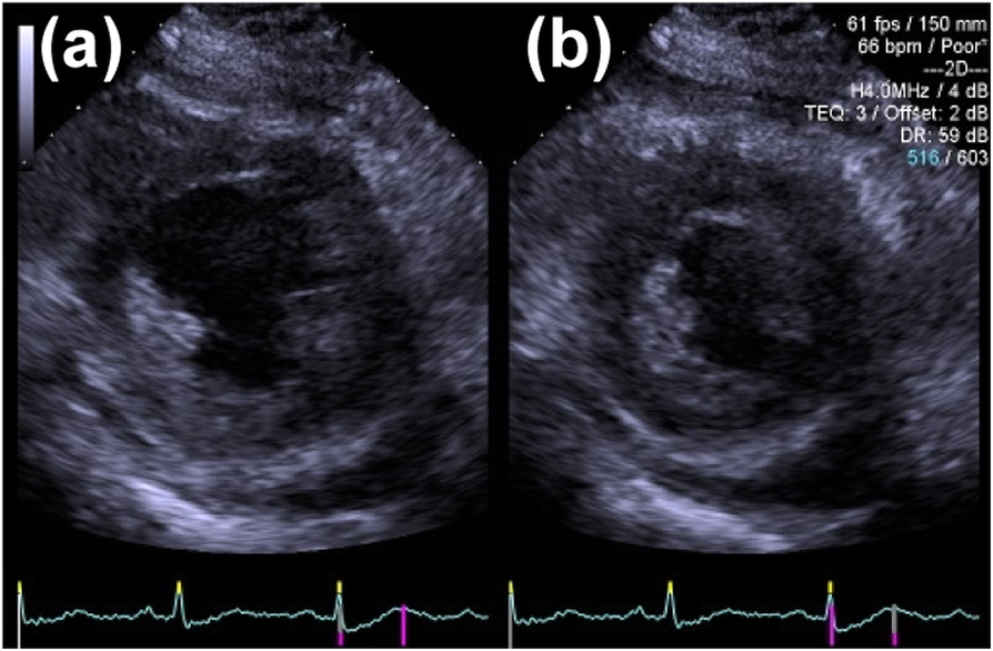 Fig. 4