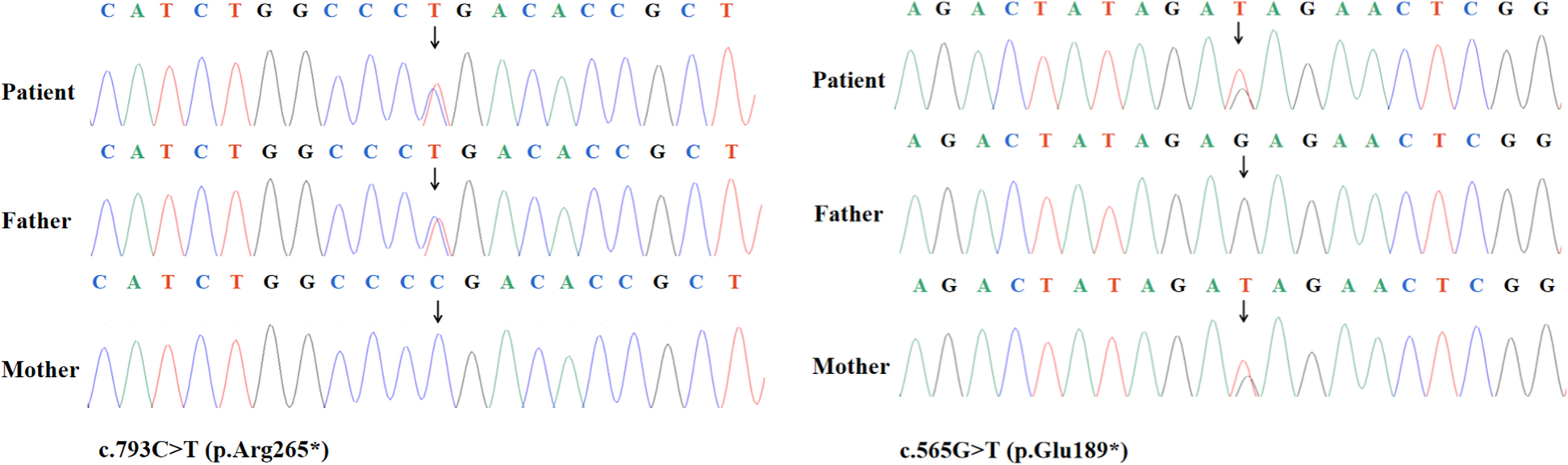 Fig. 3